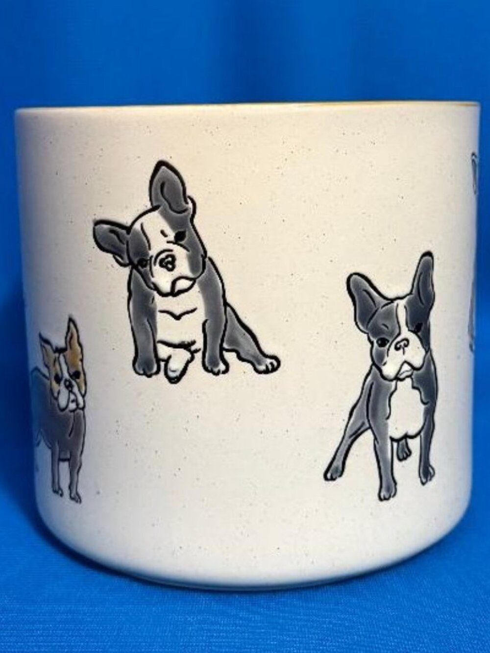 NEW LARGE CANISTER / PLANTER PLANT POT FRENCHIE FRENCH BULLDOG / BOSTON TERRIER